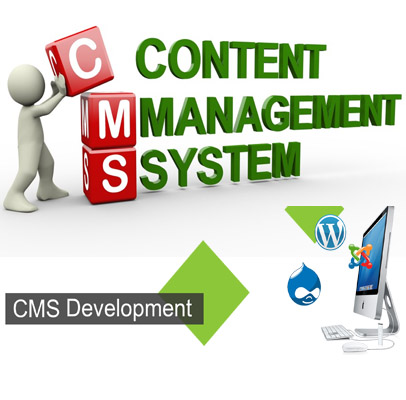 CMS Development services