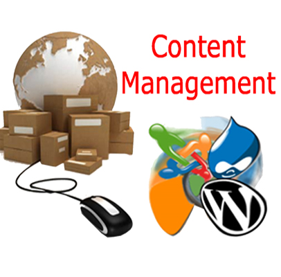 content management system services